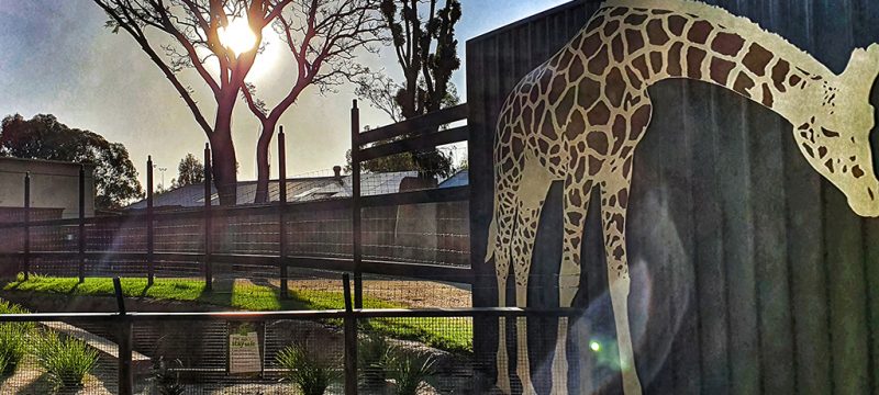 Haunted Adelaide Zoo