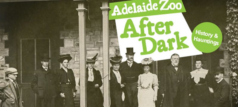 Adelaide Zoo after Dark - Haunted Horizons Ghosts